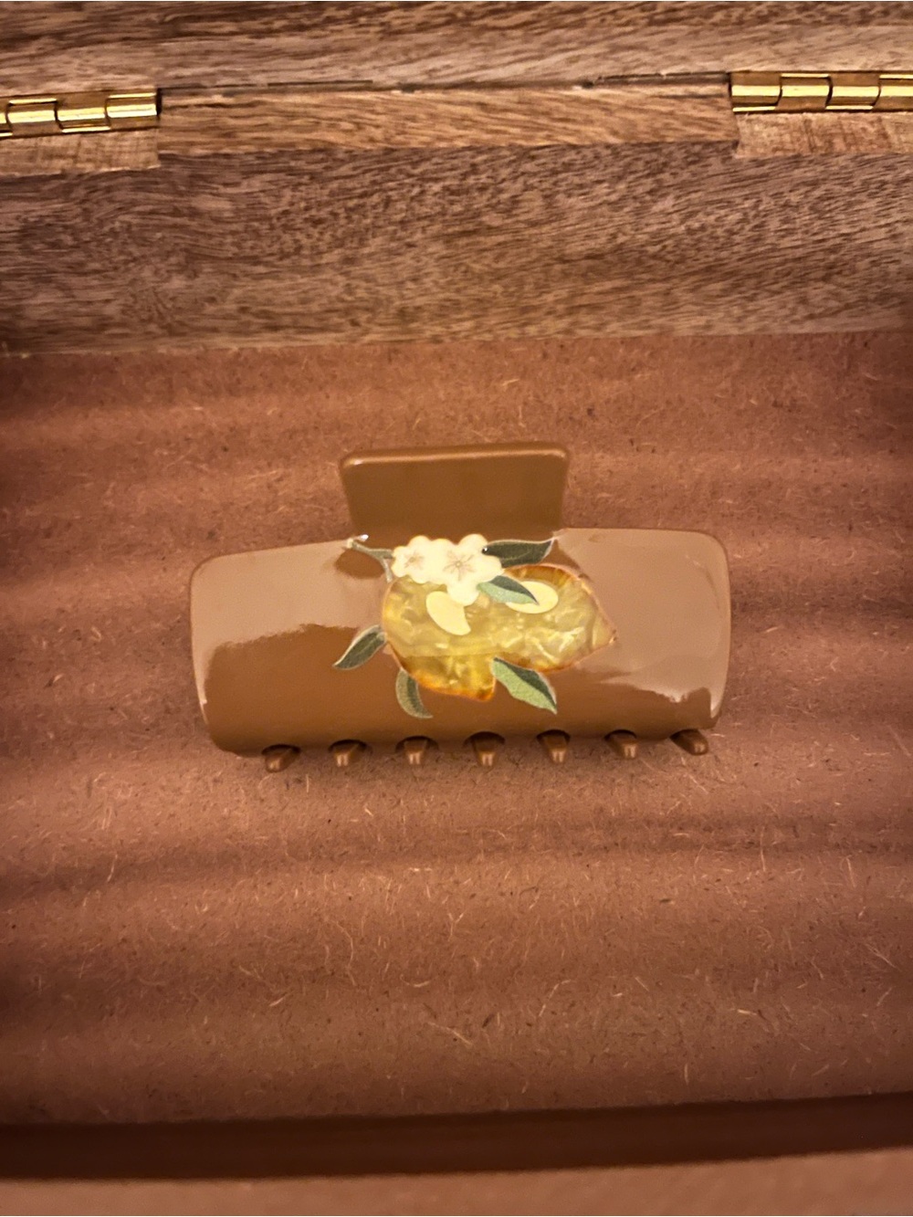 Anthropologie brown lemons acetate hair clip